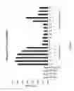 Fig. 08 - COMPLEXES OF RNA  AND CATIONIC PEPTIDES FOR TRANSFECTION AND FOR IMMUNOSTIMULATION