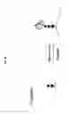 Fig. 04 - Glycopegylated Factor IX