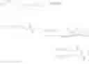 Fig. 76 - Glycopegylated Factor IX