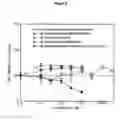 Fig. 09 - PKC activators and anticoagulant in regimen for treating stroke
