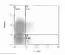 Fig. 04 - Compositions for and methods of treating and preventing targeting tumor associated carbohydrate antigens