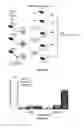 Fig. 14 - Methods and compositions for inhibiting diseases of the central nervous system