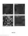 Fig. 32 - Methods and compositions for inhibiting diseases of the central nervous system
