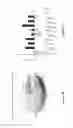 Fig. 41 - Methods and compositions for inhibiting diseases of the central nervous system