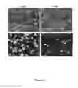 Fig. 65 - Methods and compositions for inhibiting diseases of the central nervous system
