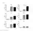 Fig. 04 - Recombinant as a vaccine