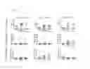 Fig. 18 - Recombinant as a vaccine