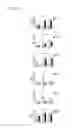 Fig. 19 - Recombinant as a vaccine