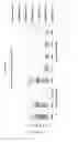 Fig. 07 - Compositions and methods