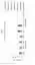 Fig. 10 - Compositions and methods