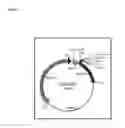 Fig. 02 - Campylobacter immunogenic compositions and uses thereof