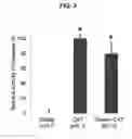 Fig. 04 - PROLAMIN-BASED FILM AND METHOD FOR MANUFACTURING PROLAMIN-BASED ORAL FILM FOR PROTECTING ACTIVITY OF ANTI-OXIDATIVE MATERIAL