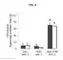 Fig. 05 - PROLAMIN-BASED FILM AND METHOD FOR MANUFACTURING PROLAMIN-BASED ORAL FILM FOR PROTECTING ACTIVITY OF ANTI-OXIDATIVE MATERIAL