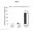 Fig. 06 - PROLAMIN-BASED FILM AND METHOD FOR MANUFACTURING PROLAMIN-BASED ORAL FILM FOR PROTECTING ACTIVITY OF ANTI-OXIDATIVE MATERIAL