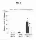 Fig. 07 - PROLAMIN-BASED FILM AND METHOD FOR MANUFACTURING PROLAMIN-BASED ORAL FILM FOR PROTECTING ACTIVITY OF ANTI-OXIDATIVE MATERIAL