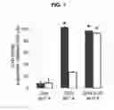 Fig. 08 - PROLAMIN-BASED FILM AND METHOD FOR MANUFACTURING PROLAMIN-BASED ORAL FILM FOR PROTECTING ACTIVITY OF ANTI-OXIDATIVE MATERIAL