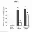 Fig. 09 - PROLAMIN-BASED FILM AND METHOD FOR MANUFACTURING PROLAMIN-BASED ORAL FILM FOR PROTECTING ACTIVITY OF ANTI-OXIDATIVE MATERIAL