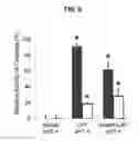 Fig. 10 - PROLAMIN-BASED FILM AND METHOD FOR MANUFACTURING PROLAMIN-BASED ORAL FILM FOR PROTECTING ACTIVITY OF ANTI-OXIDATIVE MATERIAL