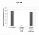 Fig. 12 - PROLAMIN-BASED FILM AND METHOD FOR MANUFACTURING PROLAMIN-BASED ORAL FILM FOR PROTECTING ACTIVITY OF ANTI-OXIDATIVE MATERIAL