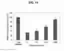 Fig. 15 - PROLAMIN-BASED FILM AND METHOD FOR MANUFACTURING PROLAMIN-BASED ORAL FILM FOR PROTECTING ACTIVITY OF ANTI-OXIDATIVE MATERIAL