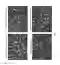 Fig. 16 - PLGA-modified polyethylenimine self-assembly nanotechnology for nucleic acid and drug delivery