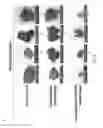 Fig. 22 - PLGA-modified polyethylenimine self-assembly nanotechnology for nucleic acid and drug delivery
