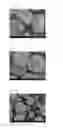 Fig. 02 - Microparticles containing physiologically active peptide, method for preparing the same, and pharmaceutical composition comprising the same