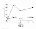 Fig. 05 - Butyrylcholinesterase zwitterionic polymer conjugates
