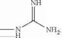 Fig. 31 - Butyrylcholinesterase zwitterionic polymer conjugates
