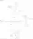 Fig. 45 - Butyrylcholinesterase zwitterionic polymer conjugates