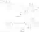 Fig. 90 - Butyrylcholinesterase zwitterionic polymer conjugates