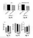 Fig. 07 - PEPTIDE-AND AMINE-MODIFIED GLUCAN PARTICLES FOR DELIVERY OF THERAPEUTIC CARGOES