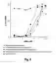 Fig. 08 - PEPTIDE-AND AMINE-MODIFIED GLUCAN PARTICLES FOR DELIVERY OF THERAPEUTIC CARGOES