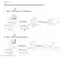 Fig. 02 - Compounds comprising self-immolative group