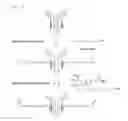 Fig. 07 - Compounds comprising self-immolative group