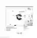 Fig. 03 - Carrier-antibody compositions and methods of making and using the same