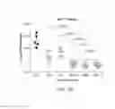 Fig. 12 - Carrier-antibody compositions and methods of making and using the same