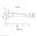 Fig. 20 - Carrier-antibody compositions and methods of making and using the same