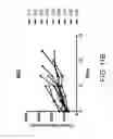 Fig. 40 - Carrier-antibody compositions and methods of making and using the same