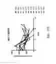 Fig. 43 - Carrier-antibody compositions and methods of making and using the same
