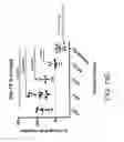 Fig. 45 - Carrier-antibody compositions and methods of making and using the same