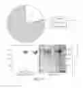 Fig. 04 - Carrier-antibody compositions and methods of making and using the same