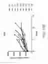 Fig. 40 - Carrier-antibody compositions and methods of making and using the same