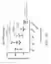 Fig. 45 - Carrier-antibody compositions and methods of making and using the same