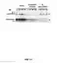 Fig. 34 - RAB7L1 INTERACTS WITH LRRK2 TO MODIFY INTRANEURONAL PROTEIN SORTING AND PARKINSON'S DISEASE RISK