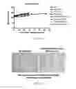 Fig. 11 - Anticancer combinations