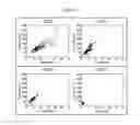Fig. 09 - Nucleic acid-encapsulating polymer micelle complex and method for producing same