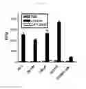 Fig. 04 - CANCER CELL SPECIFIC IMAGING PROBES AND METHODS OF USE