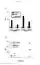 Fig. 07 - CANCER CELL SPECIFIC IMAGING PROBES AND METHODS OF USE