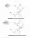 Fig. 34 - CANCER CELL SPECIFIC IMAGING PROBES AND METHODS OF USE